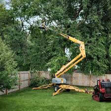 Best Lawn Pest Prevention  in Vinco, PA