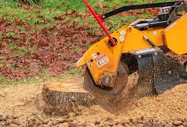 Lawn Edging in Vinco, PA