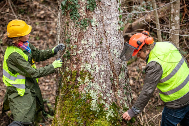 Best Seasonal Cleanup (Spring/Fall)  in Vinco, PA